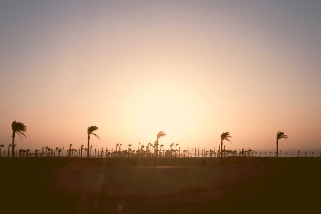 Optio nihil delectus sapiente sed