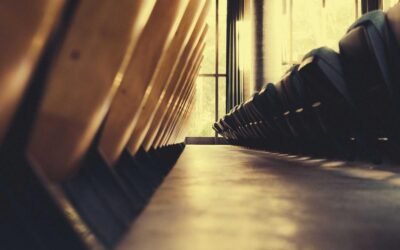 Sed qui impedit similique sed veniam