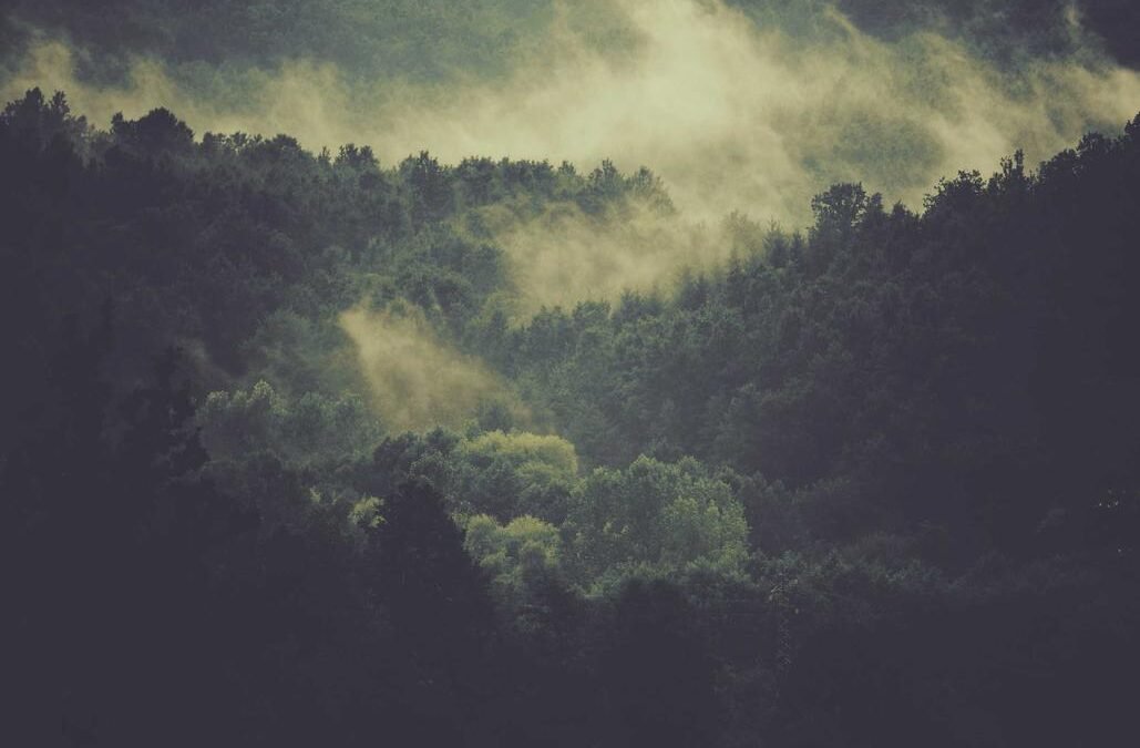 Reiciendis qui sed aut quod nisi aut