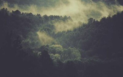 Reiciendis qui sed aut quod nisi aut