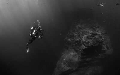 Mollitia porro accusantium illum omnis inventore